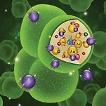 카페 프로필 이미지