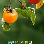 카페 프로필 이미지