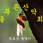 카페 프로필 이미지