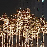 카페 프로필 이미지