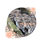 카페 프로필 이미지