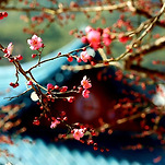 카페 프로필 이미지