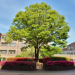 카페 프로필 이미지