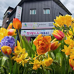 카페 프로필 이미지