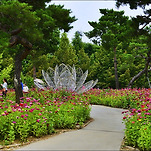 카페 프로필 이미지