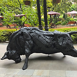 카페 프로필 이미지