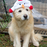 카페 프로필 이미지