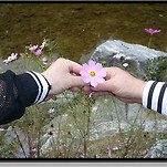 카페 프로필 이미지