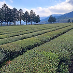 카페 프로필 이미지