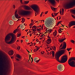 카페 프로필 이미지