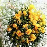 카페 프로필 이미지