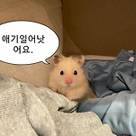 카페 프로필 이미지