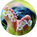 카페 프로필 이미지