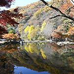 카페 프로필 이미지