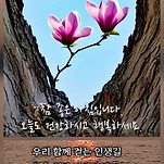 카페 프로필 이미지