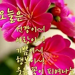 카페 프로필 이미지