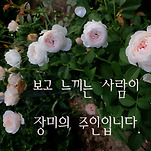 카페 프로필 이미지