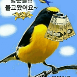 카페 프로필 이미지