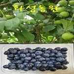 카페 프로필 이미지