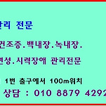 카페 프로필 이미지