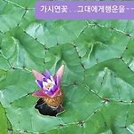 카페 프로필 이미지