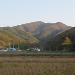 카페 프로필 이미지