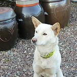 카페 프로필 이미지