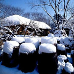 카페 프로필 이미지