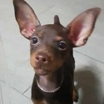 카페 프로필 이미지