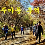 카페 프로필 이미지