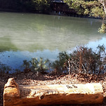 카페 프로필 이미지