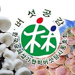 카페 프로필 이미지