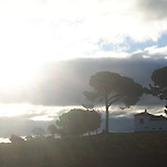 카페 프로필 이미지