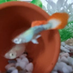 카페 프로필 이미지