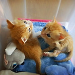 카페 프로필 이미지