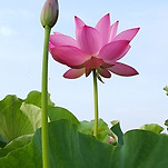 카페 프로필 이미지