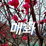 카페 프로필 이미지