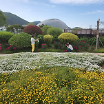 카페 프로필 이미지