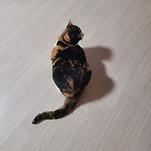 카페 프로필 이미지