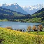 카페 프로필 이미지