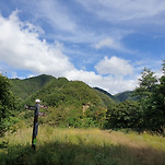 카페 프로필 이미지