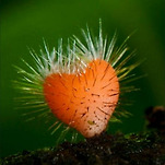 카페 프로필 이미지