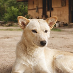 카페 프로필 이미지