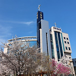 카페 프로필 이미지