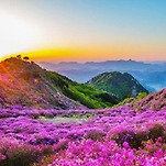 카페 프로필 이미지