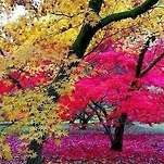 카페 프로필 이미지