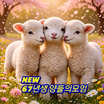 카페 프로필 이미지