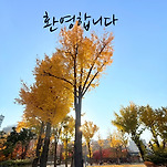 카페 프로필 이미지