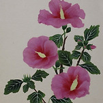 카페 프로필 이미지