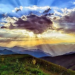 카페 프로필 이미지